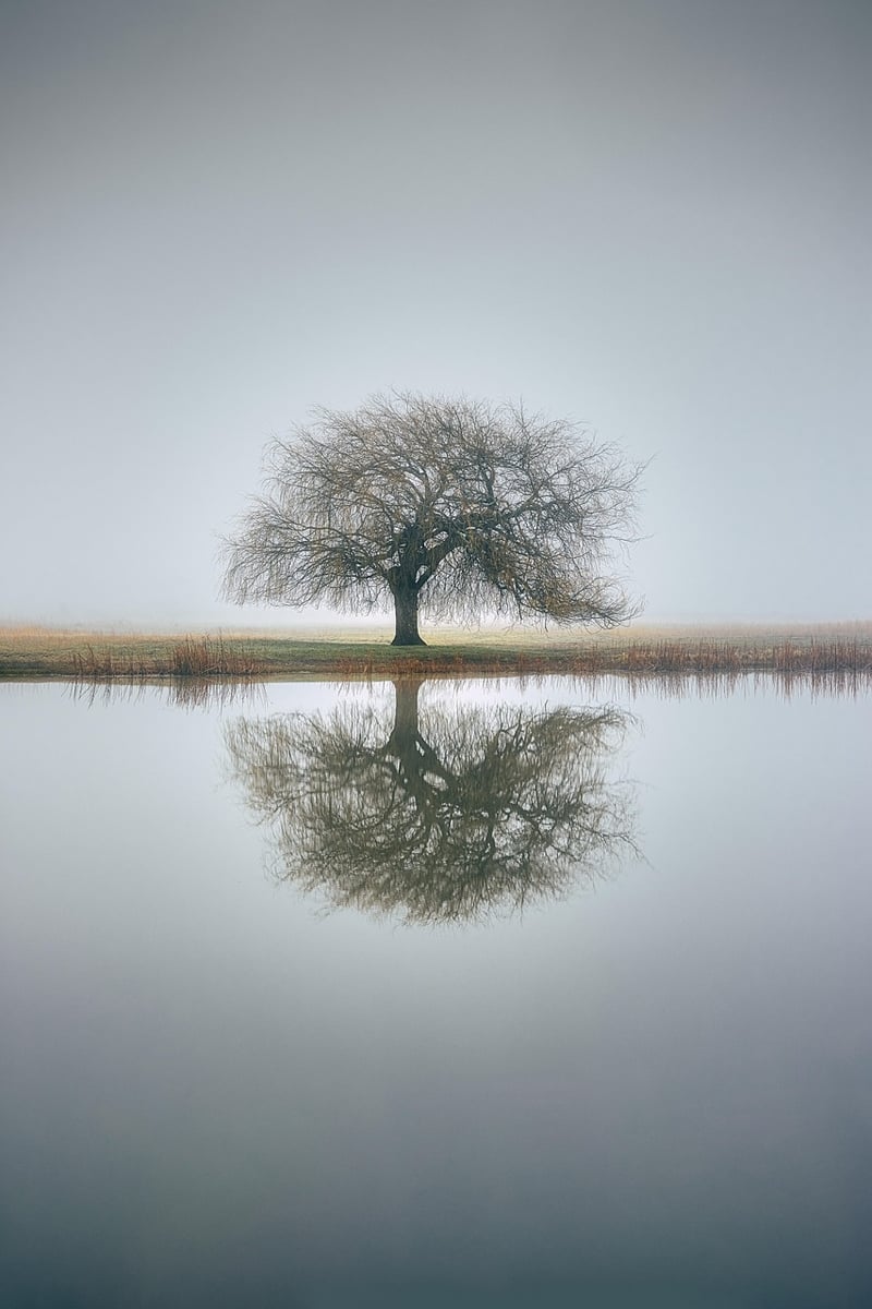 Minimalist Serenity